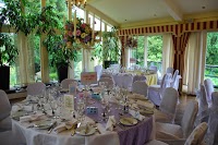 Dawn Marie Wedding and Event Design 1064909 Image 0
